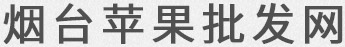 烟台苹果批发网